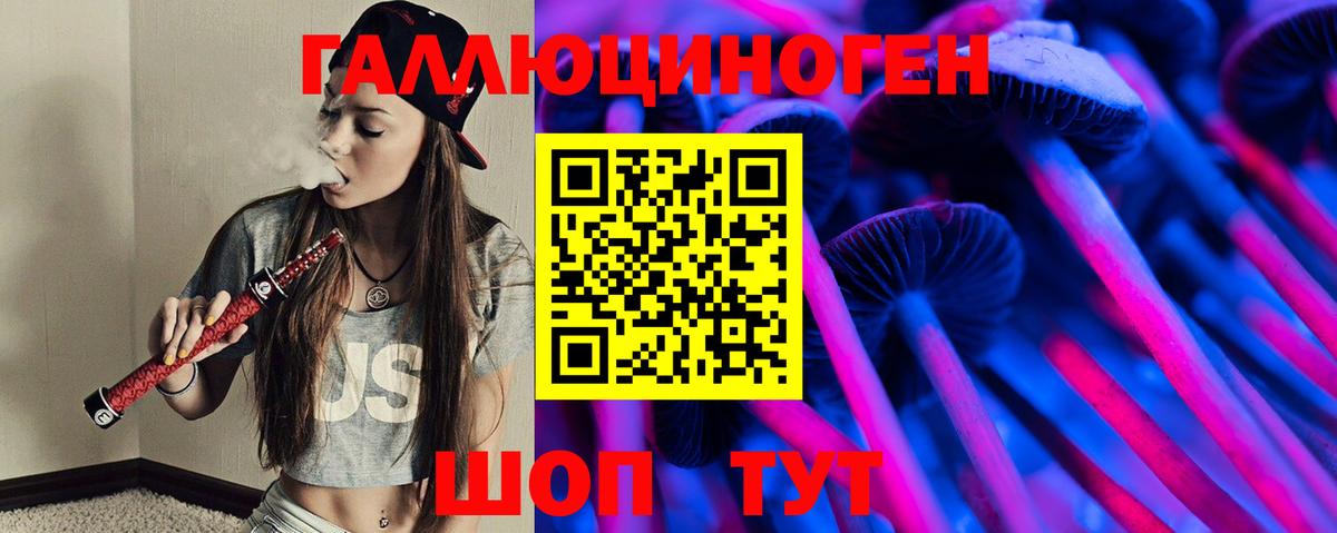 магазин продажи наркотиков  Псилоцибиновые грибы Psilocybine cubensis  Вход с VPN  Псилоцибиновые грибы Magic Shrooms  Луга 