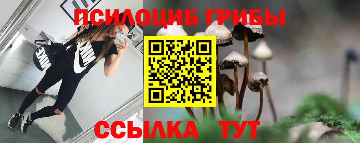 Гашиш  Луга  КОКАИН  АМФ кристаллы  Alpha PVP СК   Мефедрон   Экстази  Вход с VPN  МЕТАДОН  МАРИХУАНА 